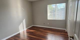 9450 Silver Pine Loop Gallery 16