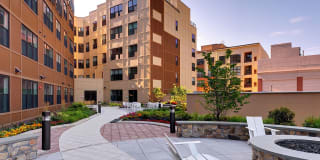 Valley and Bloom Gallery 2