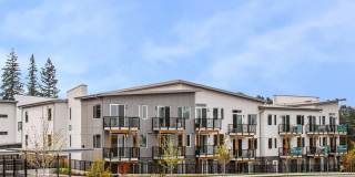 Allegro Lynwood Gallery 18