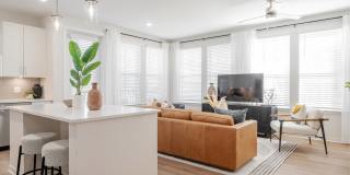 Alta Citron Gallery 76