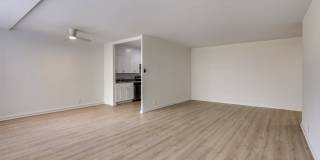 The Rittenhouse Gallery 3