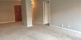 Updated Kitchen-1Bed 1Bath w Garage Parking at Georgetown Condo Gallery 14