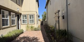 13512 Scarlet Sage Trail Gallery 3