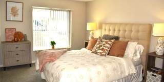 Walkabout Creek Gallery 22