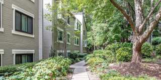 2210 SPRINGWOOD Drive Gallery 3