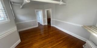 No Fee Lowest Priced 1 bed in Allston Heat HW Inc  New floors and Paint Private Entrance Gallery 3