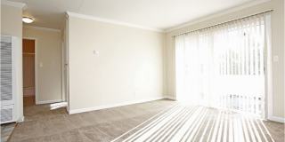 Bart Plaza Gallery 5