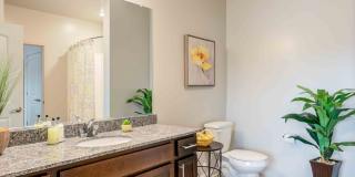 Coventry Square Apartments Coventry Square Apartments Gallery 15