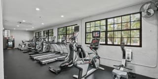 10X Port Royale 10X Port Royale Gallery 27