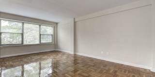 The Luzon Gallery 11