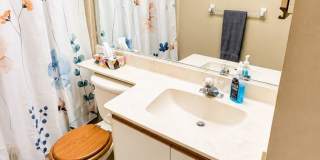Annual Turnkey Furnished 1-bed 1-bath condo in the Meadows Gallery 15