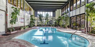 Shelter Creek Condo 1/1 available now Gallery 12