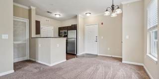 Renaissance at Peachers Mill Gallery 29