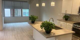 1247 Rock Hills Street Gallery 24