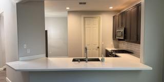 1237 Crown Ridge Drive Gallery 8