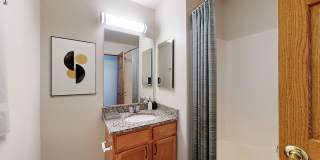 The Burlington Gallery 11