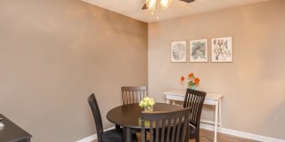 Sussex Downs Gallery 5