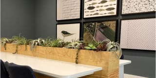 Avana Eldridge Gallery 43