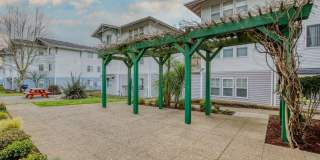 Fern Ridge Gallery 19