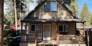 Pet friendly 1 bed 1 bath cabin Gallery 1