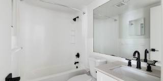 Palmetto Square Gallery 71