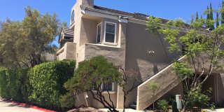 2920-103 Luciernaga St Gallery 1