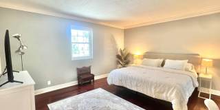 226 Brazilian Avenue Gallery 16