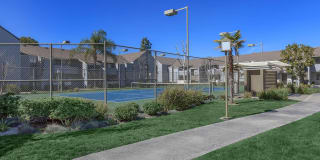 Palm Court Apartment Homes Gallery 16