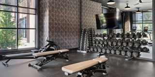 Madison West Elm Gallery 55