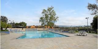 24802 Leto Circle Gallery 23