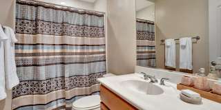 25615 N SAGO Drive Gallery 23