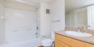 The Village at Town Center Gallery 151