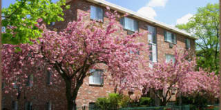 Gardner Street Apartments Gardner Street Apartments Gallery 2