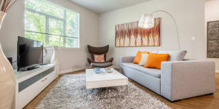 Madison Bellevue Gallery 9