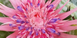 226 NE 1st Avenue unit: Key Lime Suite Gallery 32