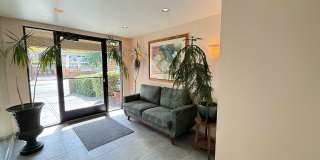 The K Group Villager, LLC Gallery 62
