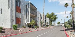 Ardella on 28 Gallery 28