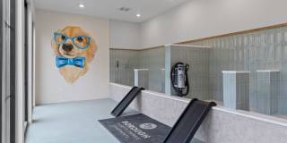 Borough 33 Apartments Gallery 9