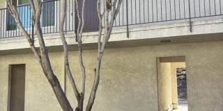 3398 Armada Drive - 06 Gallery 2