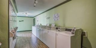 Sterling Park Gallery 8