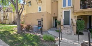 Beautiful 3BD/3BA Spacious Home in Dublin Gallery 1