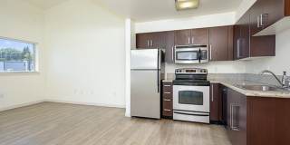 Tempo Apartments Gallery 3