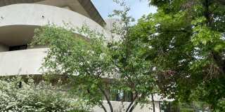 Two Bedroom Condo Available In Downtown Boulder Gallery 31