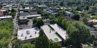 Forestry Court Gallery 27