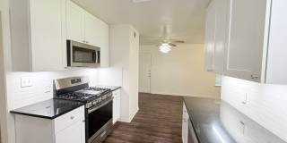 Just updated 3/2 home on a quiet street in desirable north Austin! Gallery 14