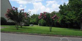 931 Brookside Pl Gallery 3