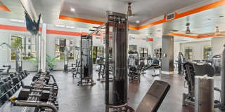 The Point at Lakeside Gallery 16