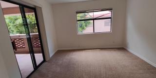 Biltmore / Arcadia Lite - 32nd St & Camelback Gallery 25