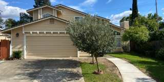 Gorgeous Home With Multiple Living Rooms, Two Primary Suites, Fruit Trees, And More! Gallery 1