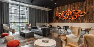 Arsenal 201 Gallery 13